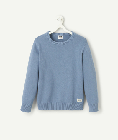 CategoryModel (8821761638542@2086)  - Pull pour garçon en coton bleu