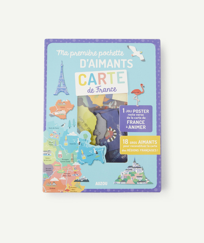 CategoryModel (8822143910030@12)  - PACK OF MAP OF FRANCE MAGNETS