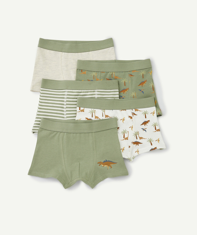 CategoryModel (8821762392206@708)  - 5-pack grijze, witte en groene boxershorts met dinosaurusthema voor jongens