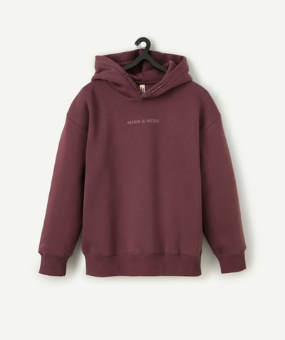 CategoryModel (8824896979086@8)  - Sweat à capuche garçon en fibres recyclées bordeaux