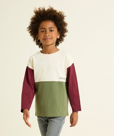 CategoryModel (8824668061838@549)  - Jongens-T-shirt met lange mouwen en colour block