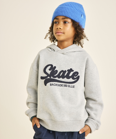 CategoryModel (8824668061838@546)  - Sweat à capuche gris garçon avec message skate