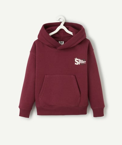 CategoryModel (8821761015950@3176)  - Sweat pour garçon bordeaux à capuche avec écritures