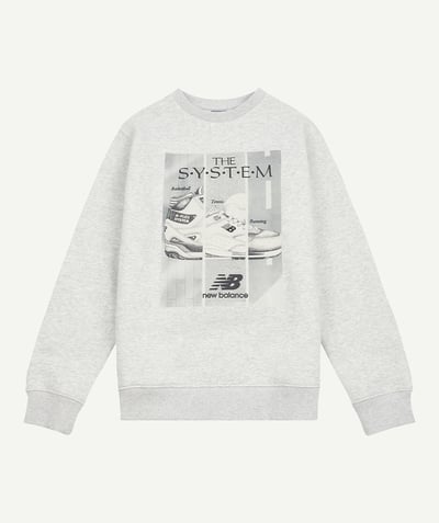 CategoryModel (8825060393102@31283)  - Sweat BB Het Systeem Grafische Crew