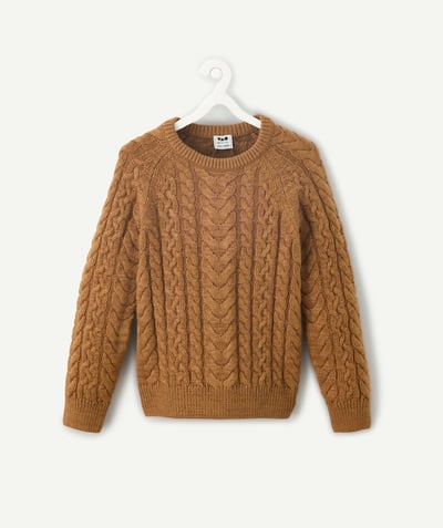 CategoryModel (8821761015950@3176)  - Pull garçon marron torsadé