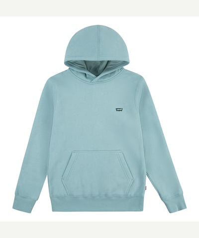 CategoryModel (8825060393102@31283)  - sweat à capuche minibatwing