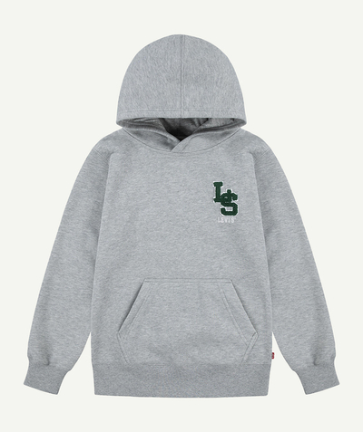 CategoryModel (8824667570318@1406)  - sweat à capuche ls monogram