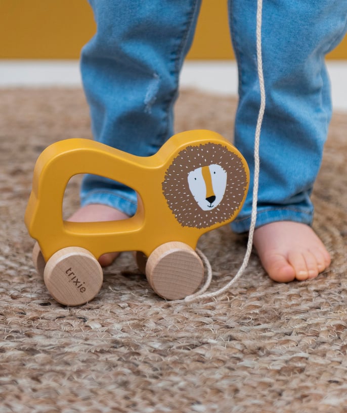   - HOUTEN LEEUW STUK SPEELGOED OM BABY TE TREKKEN