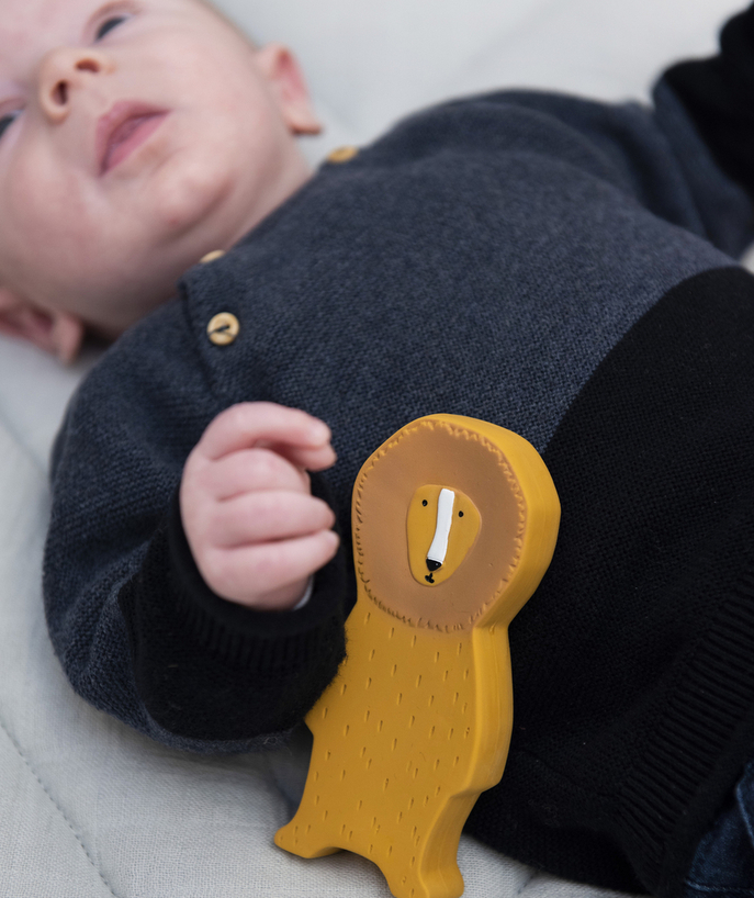   - BABY LEEUW SPEELTJE VAN NATUURLIJK RUBBER