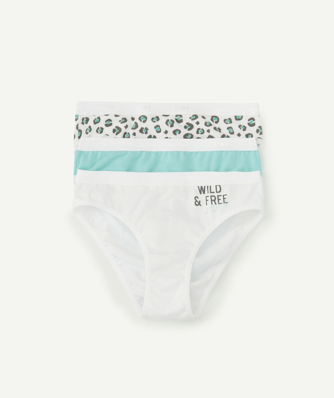   - DE SET VAN 3 MINT EN LUIPAARD PANTY'S IN STRETCH KATOEN