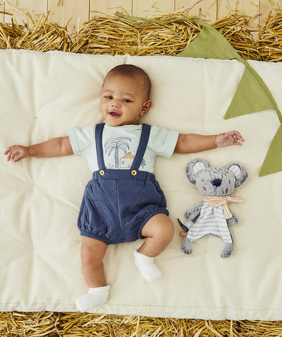 CategoryModel (8821751513230@1805)  - BABYBLAUWE BERMUDA MET BANDJES