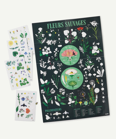 CategoryModel (8821750759566@51)  - POSTER MET 72 BOTANISCHE STICKERS  7-12 JAAR