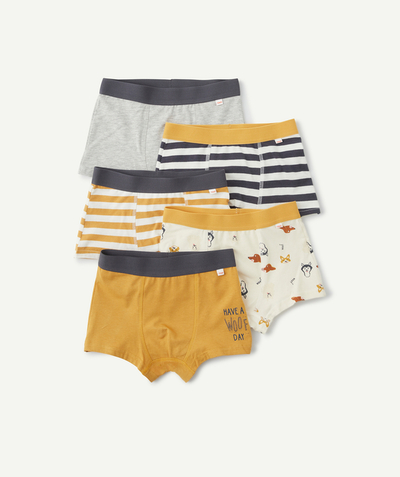 CategoryModel (8824503074958@56)  - LOT DE 5 BOXERS UNIS ET IMPRIMÉS JAUNES EN COTON BIO GARÇON