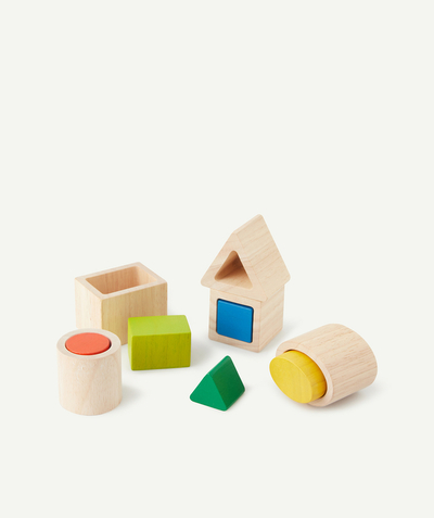 CategoryModel (8826076004494@13)  - FORMES GÉOMÉTRIQUES À IMBRIQUER MONTESSORI - 2Y +