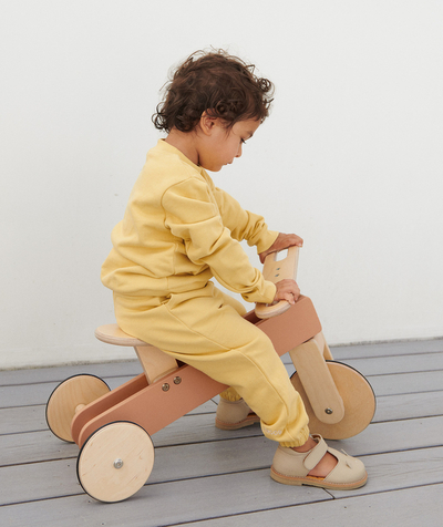 CategoryModel (8826174079118@5)  - TRICYCLE WYATT ROSE EN BOIS