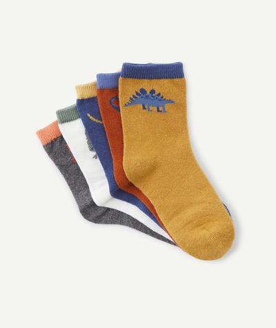 CategoryModel (8824896946318@530)  - LOT DE 5 CHAUSSETTES GARÇON COLORÉES THÈME DINOSAURES