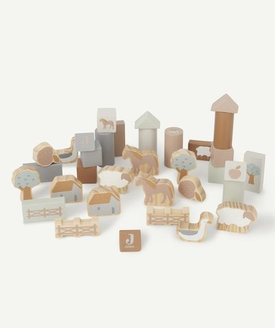 CategoryModel (8821750759566@51)  - SET DE CUBES EN BOIS 18x12CM FARM