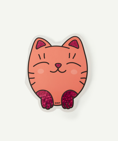 CategoryModel (8821768519822@55)  - CAHIER STICKERS CHAT