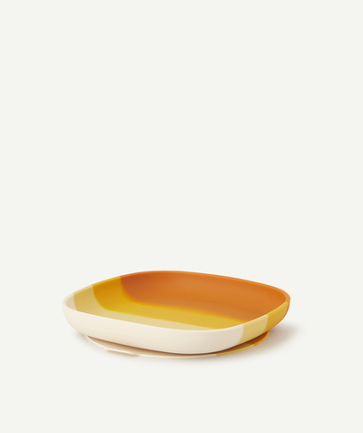 CategoryModel (8826108772494@5)  - ASSIETTE ORANGE ENFANT EN SILICONE