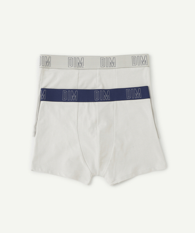 CategoryModel (8821766226062@41)  - PACK OF 2 PAIRS OF BOYS' LIGHT GREY AND BLUE SKIN CARE BOXER SHORTS