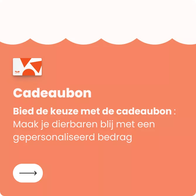 NL_CARTE.webp